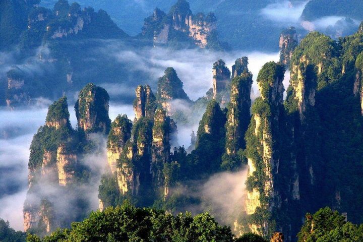 trương gia giới